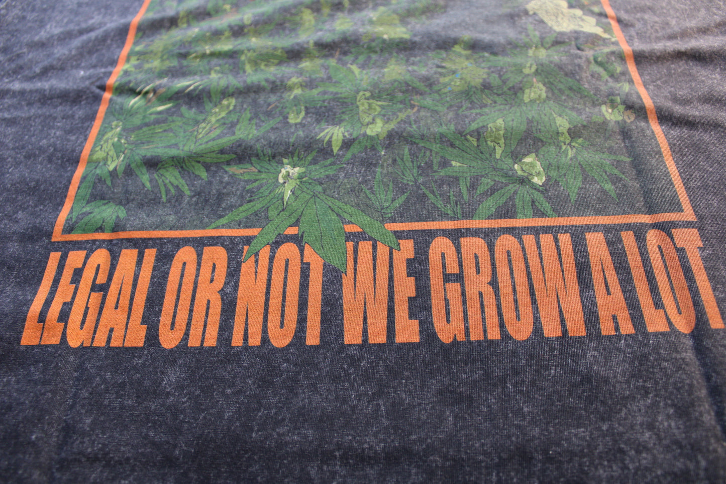 LEGAL OR NOT WE GROW ALOT! (BLACK)
